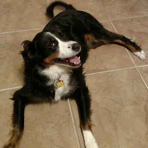 Fundraising Page: Mary Morrison